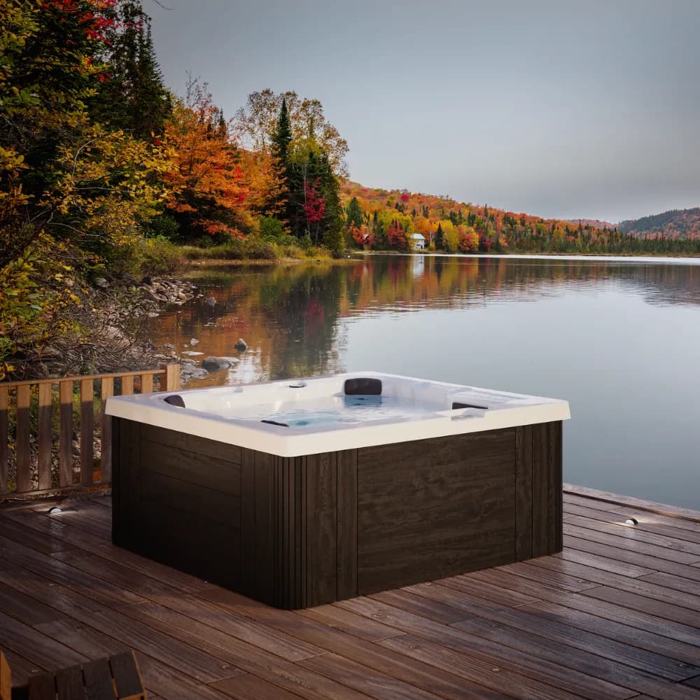 Aludra L par Lacus - vue 1