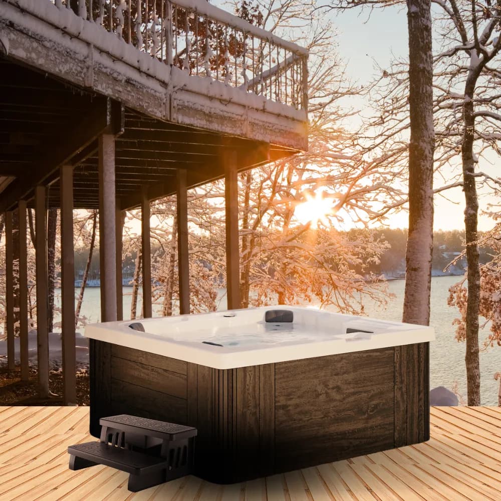 Aludra LX par Lacus - vue 1